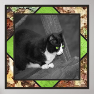 Poster do gato do Barnyard