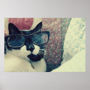 poster do gato do hipster