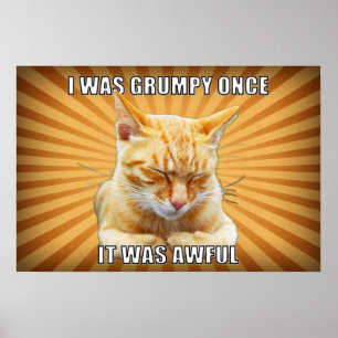 Poster do gato do zen