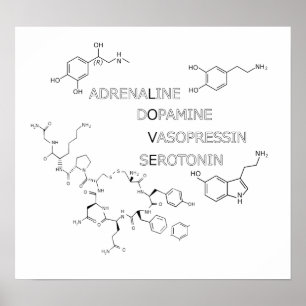 Poster do geek do amor da estrutura química