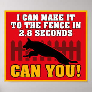 Poster do german shepherd