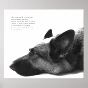 Poster do german shepherd