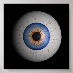 Poster do globo ocular
