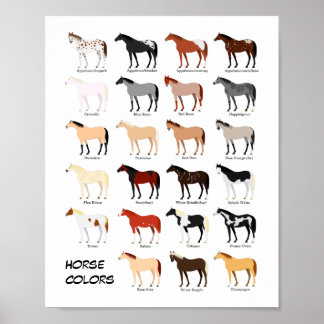 poster do gráfico de cores de cavalo