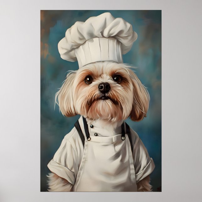 Poster do Havanês com Chapéu de Chef, Poster de Pe (Frente)