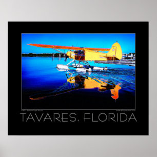 Poster do hidroavião das belas artes de Tavares