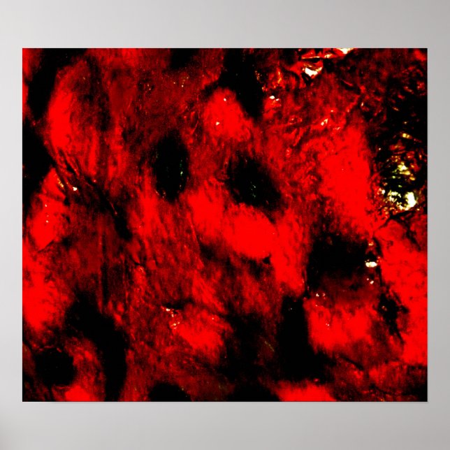 Poster do Homem Queimado (Frente)