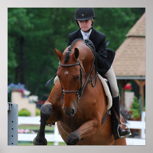 Poster do Hunter Horse Show (Frente)