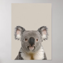 Poster do infantário de animais bebês - Koala