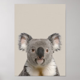 Poster do infantário de animais bebês - Koala