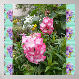 Poster do Jardim de Fotos Floral de Flor Rosa Pens