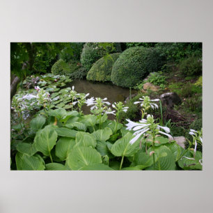 Poster do jardim do zen com beiras brancas