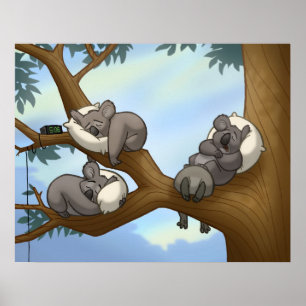 Poster do Koala do sono