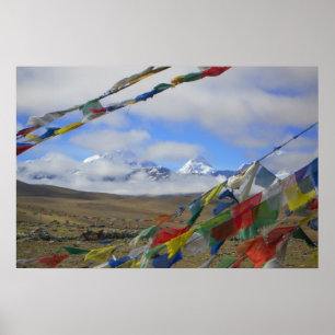 Poster do La do La-Pulmão