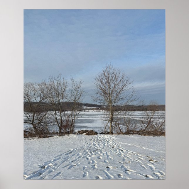 Poster do Lago Galena Winter (Frente)