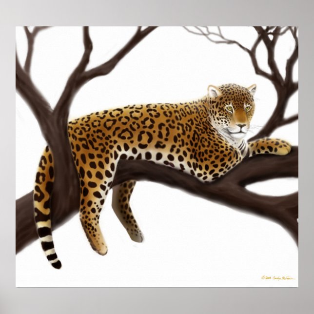 Poster do Leopardo Africano (Frente)