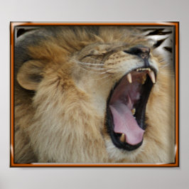 POSTER DO LION ROAR