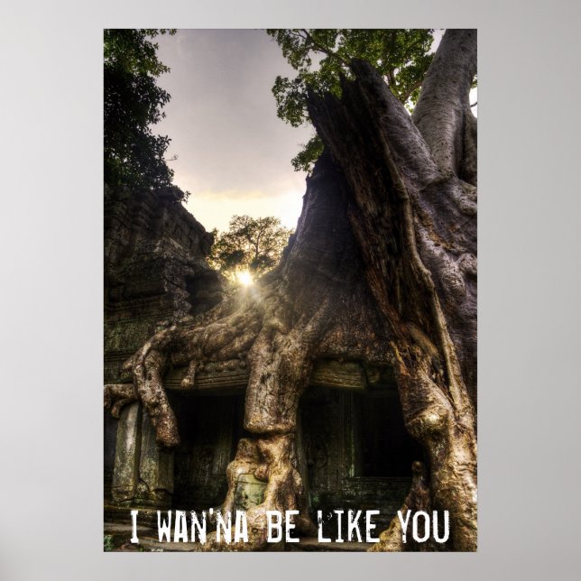 Poster do livro da selva (Frente)