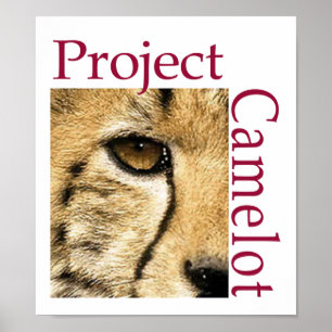Poster do logotipo de Camelot do projeto