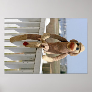Poster do macaco 1 da peúga