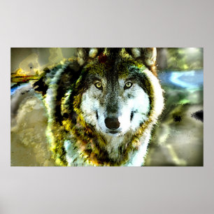 Poster do Madeira-Lobo de JungleWalk.com
