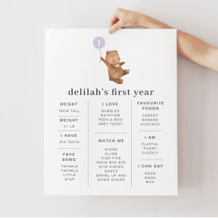 Poster do Marco do Balão Puro do Urso