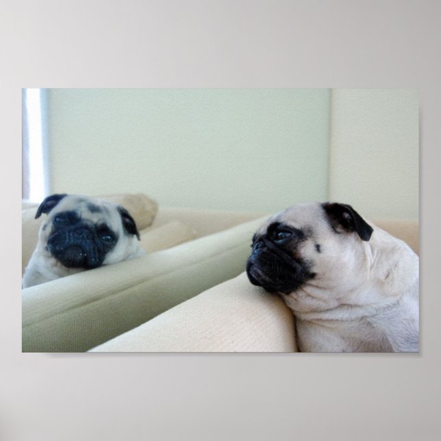 Poster do Mirror Pugs (Frente)