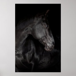 Poster do Muro da Natureza de Stallion de Cavalo N