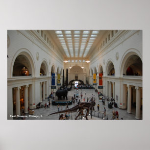 Poster do Museu de Campo