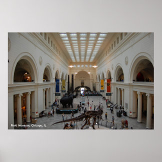 Poster do Museu de Campo