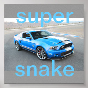 poster do mustang