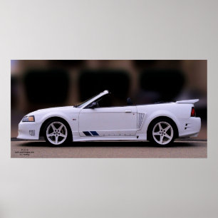 POSTER DO MUSTANG DE SALEEN