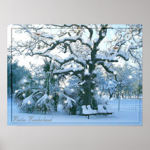 poster do país das maravilhas do inverno