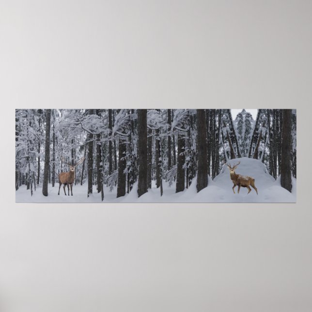 Poster do Panorama (Frente)