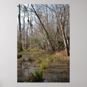 Poster do pântano de Louisiana