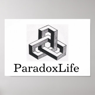 Poster do ParadoxLife