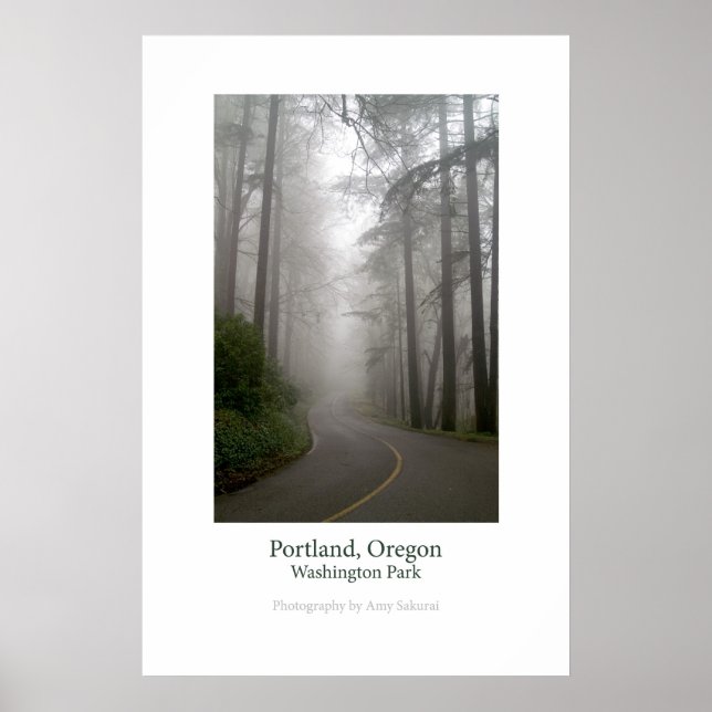 Poster do Parque Washington (Frente)