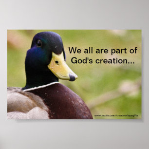 Poster do pato da criação do deus