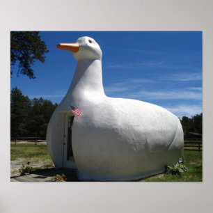 Poster do pato de Long Island