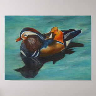 Poster do pato de mandarino
