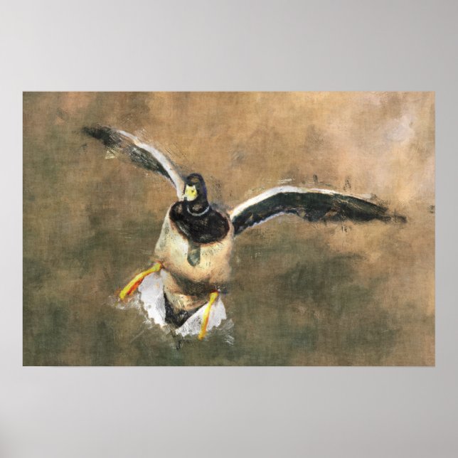 Poster do Pato Voador (Frente)