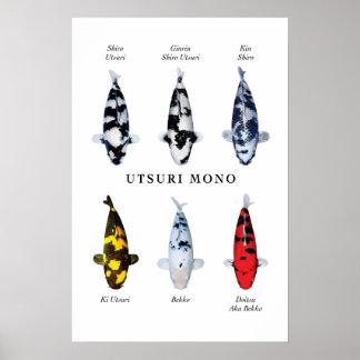 Poster do peixe koi japonês: Utsurimono