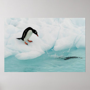 Poster do pinguim