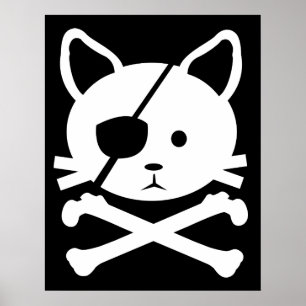 Poster do pirata do gato