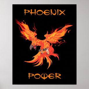 Poster do poder de Phoenix