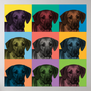 Poster do pop art de Rhodesian Ridgeback