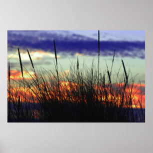 Poster do por do sol da região pantanosa
