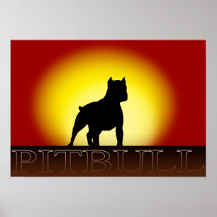 Poster do por do sol de Pitbull