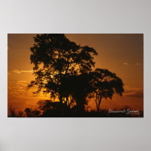 Poster do por do sol do savana