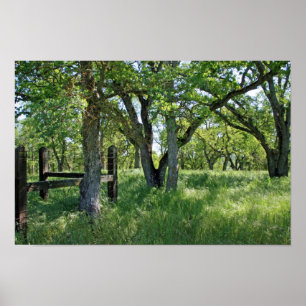 Póster Do "prado primavera "